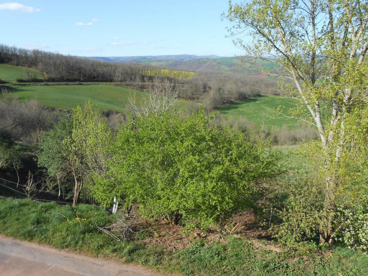 Chambre D'Hotes Des Monts Saint-Izaire Kültér fotó