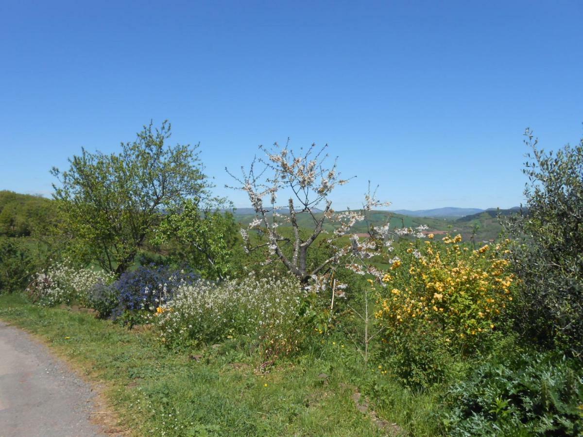 Chambre D'Hotes Des Monts Saint-Izaire Kültér fotó